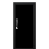 Входная дверь Portalle Electra Biometric Антрацит, Антрацит Камера