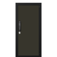 Входная дверь Portalle Electra Biometric Графитовый, Графитовый