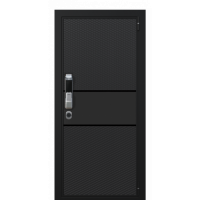 Входная дверь Portalle Electra Biometric Ral 9005, Ral 9005