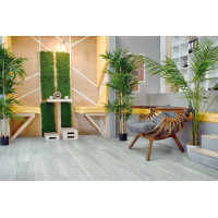 Кварц винил SPC Alpine Floor Гранд Секвойя САГАНО ECO 11-22 MC