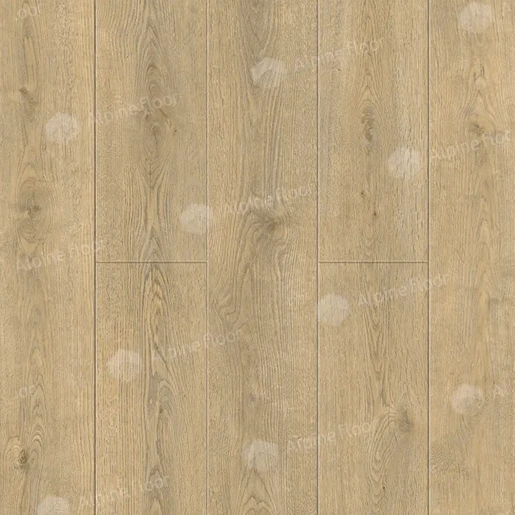 Кварц винил SPC Alpine floor Соло Плюс Комодо ЕСО 14-701 MC